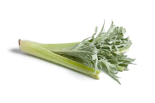 Photo of Fresh cardoon