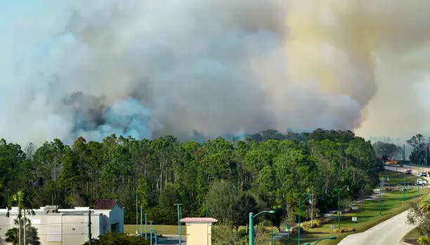 Emergency service firetrucks extinguishing wildfire burning in Florida jungle woods. Fire department vehicles trying to put down flames in forest. Toxic smoke polluting atmosphere.