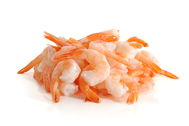 Shrimps – Foto