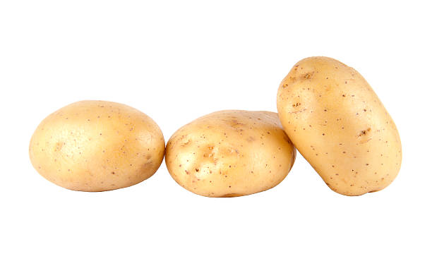 istock Fresh Potato isolated on white background 176989277