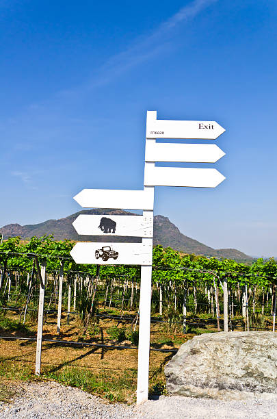 istock Sign board at Vineyard in huahin, Thailand 176989802