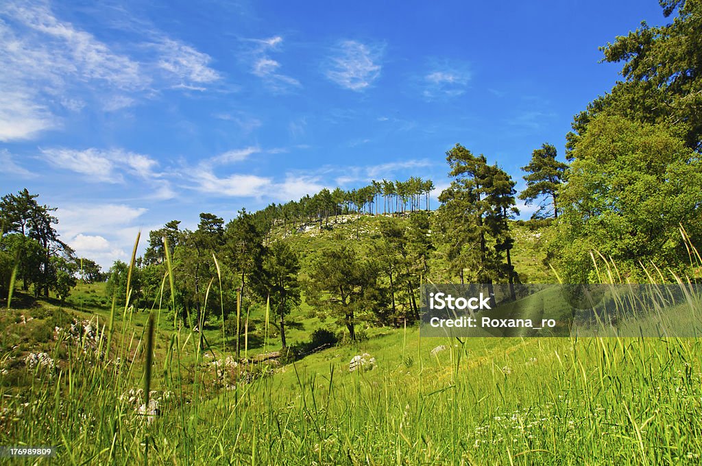 Mountain summer landscape Mountain turkish summer landscape with rocks  and green hills Awe Stock Photo