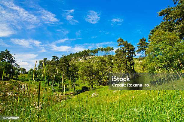 Mountain Summer Landscape Stock Photo - Download Image Now - Awe, Beauty In Nature, Blue