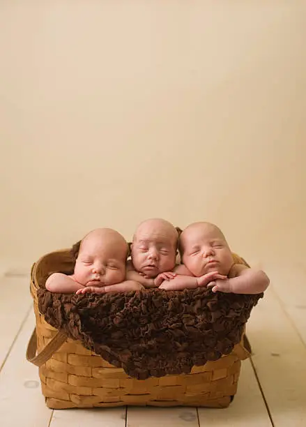 Identical triplet newborn girls sleeping peacefully in a picnic basket; with room at the top for writing.