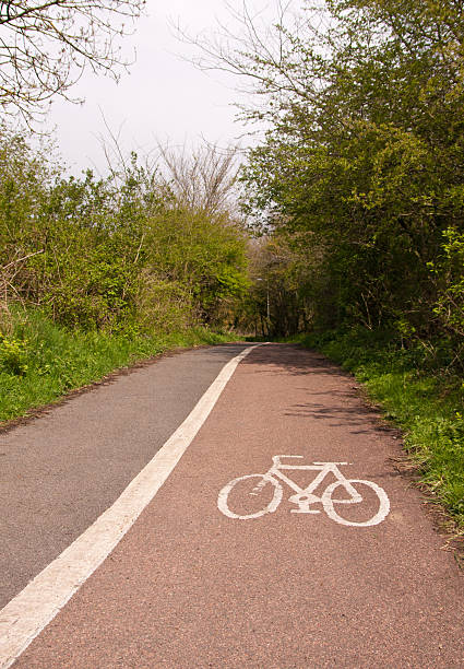 country bike path with trees and bushes either side