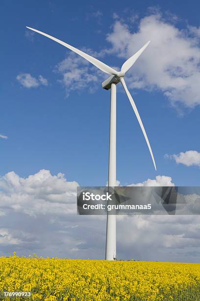 Turbina Eólica - Fotografias de stock e mais imagens de Azul - Azul, Campo agrícola, Canola
