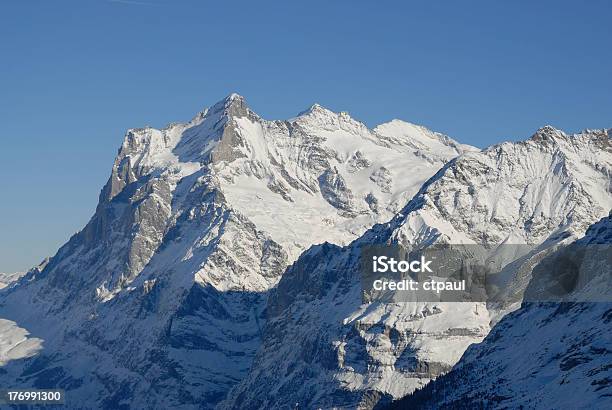 Paisagem De Inverno - Fotografias de stock e mais imagens de Ao Ar Livre - Ao Ar Livre, Branco, Copa da árvore