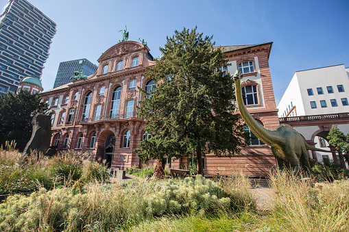 Frankfurt, Germany - September 28, 2023. Exterior of the Senckenberg Natural History Museum, built in the early 1900s. The museum collection itself was established in the early 1800s.