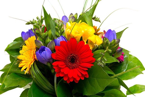 bouquet de flores coloridas, isolado no fundo branco. - bouquet tulip greeting card gerbera daisy imagens e fotografias de stock