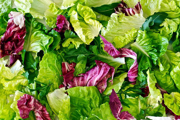 istock Background of salad leaves 176992336