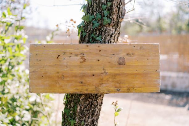 istock Blank wooden sign hanging on a tree in the park 1769927803