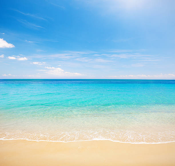 istock beach and tropical sea 176993187