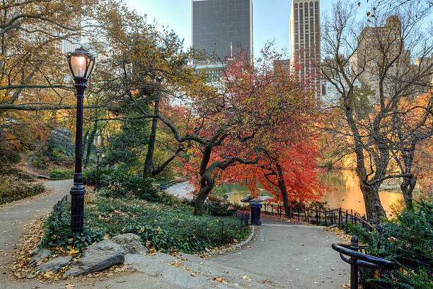 istock Central Park autumn near pond 176993365