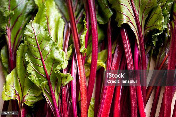 Closeup Of A Bunch Of Beet Greens Stock Photo - Download Image Now - Beet Green, Beet, Directly Above