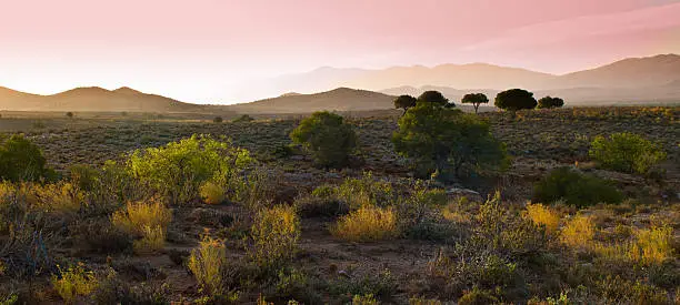 South African Klein-Karoo sunset landscape