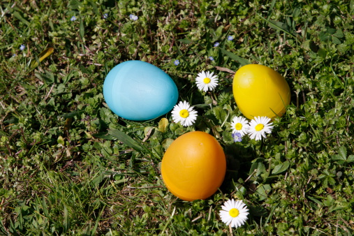 Huevos con sorpresa en el flowery meadow photo