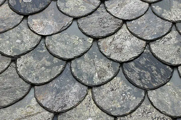 roofing tiles on roof