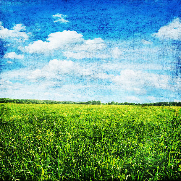 istock Grunge image of field and sky. 176994020