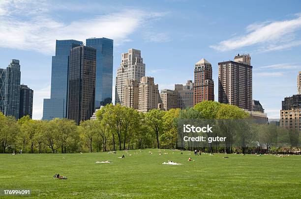 Photo libre de droit de La Ville De New York Central Park banque d'images et plus d'images libres de droit de Admirer le paysage - Admirer le paysage, Arbre, Bâtiment vu de l'extérieur