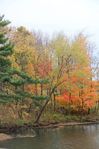 Fall picture of trees and lake stock photo