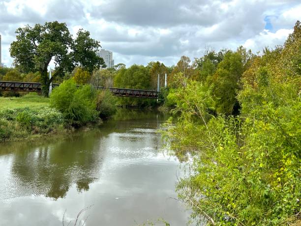 istock Buffalo Bayou Park, Houston, Texas 1769944201