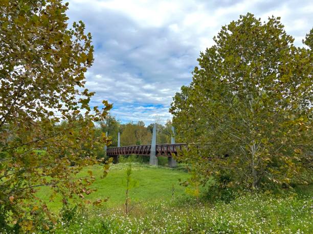 istock Buffalo Bayou Park, Houston, Texas 1769944203