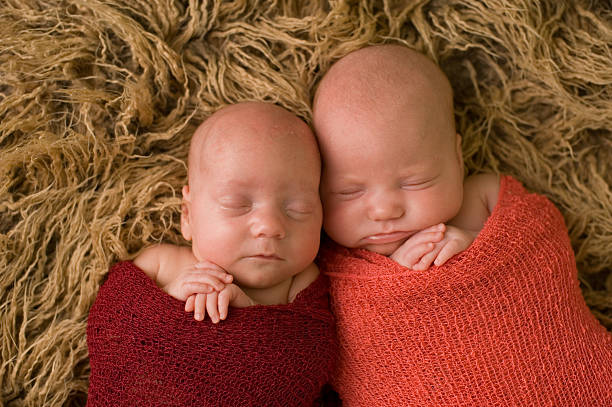 istock Swaddled Newborn Twins 176994622