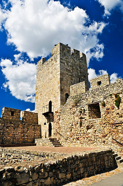 istock Kalemegdan fortress in Belgrade 176995186