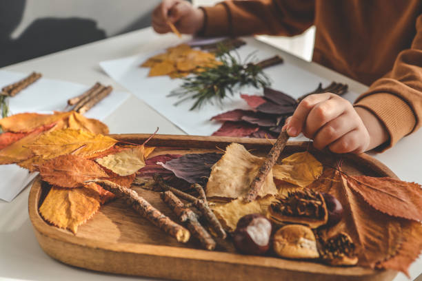 istock Children's creativity, child's study of natural materials 1769952953