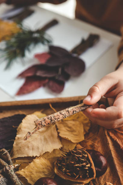 istock Children's creativity, child's study of natural materials 1769952955