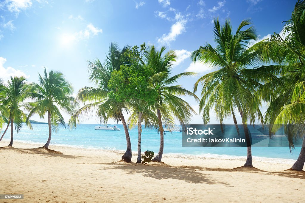 White sand beach of Catalina Island, Dominican Republic Catalina island in Dominican republic Atlantic Ocean Stock Photo