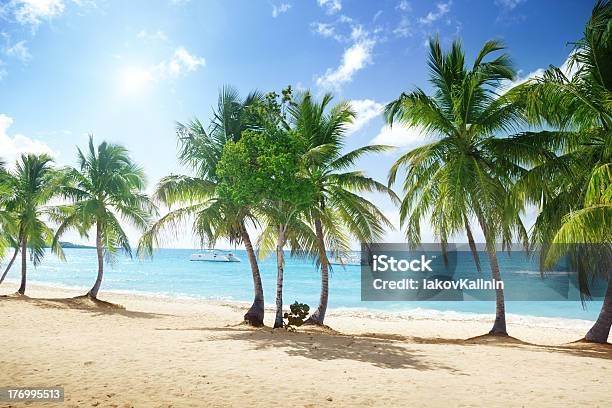 Praia Da Ilha Catalina Na República Dominicana - Fotografias de stock e mais imagens de Ao Ar Livre - Ao Ar Livre, Areia, Azul