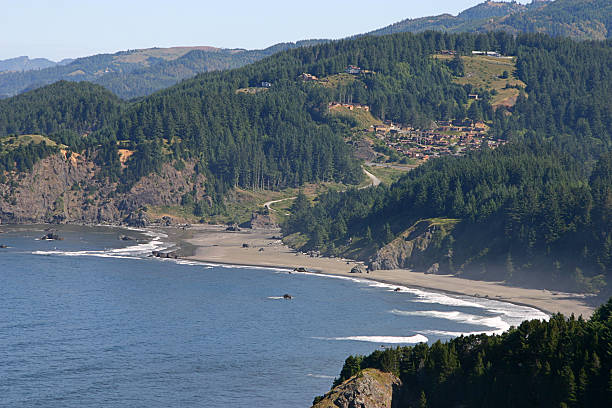 istock Northern California Coast 176995653