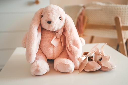 Pink soft toy bunny and baby slippers, children's concept.