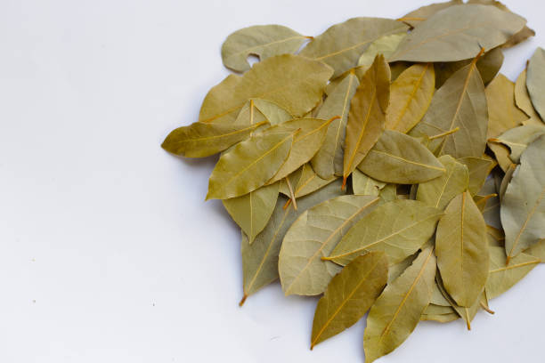 istock Dried bay leaves on white background. 1769961837