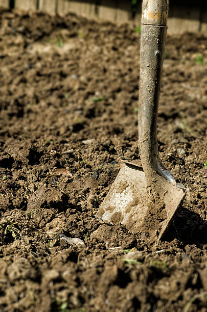 istock shovel stuck in dirt 176996696