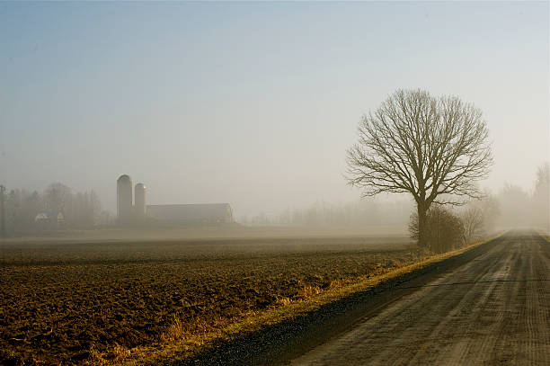 Lonely,Foggy,Country Road stock photo