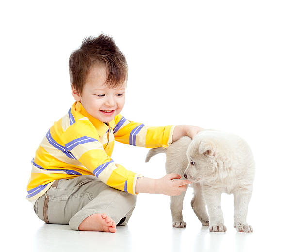 istock smiling child playing with a puppy 176997036