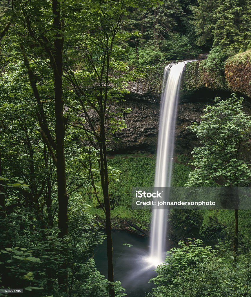 Silver Falls waterfall Silver Falls waterfall in Salen Oregon Depression - Land Feature Stock Photo