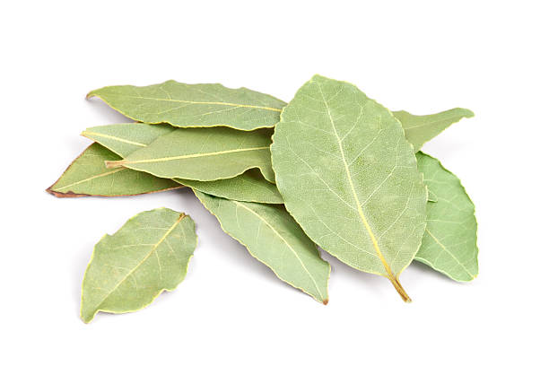 istock Bay Leaves isolated on white background. 176998204