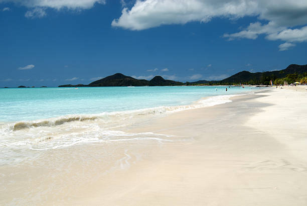 Caribbean beach stock photo