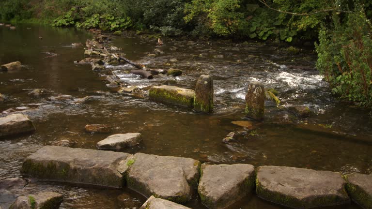 wide shot of disused water mill workings on the river dove