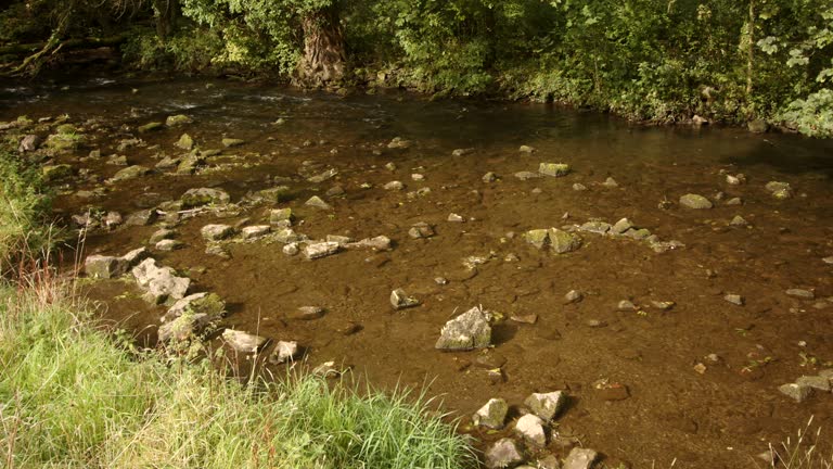 mid shot of river dove at milldale