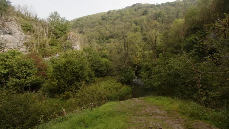 looking back up the steep sided valley of dove Dale with the river off centre of frame