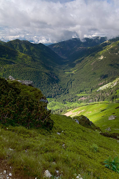 istock Ticha Dolina (Silent Valley) in Slovakia from Czerwone Wierchy. 176998919