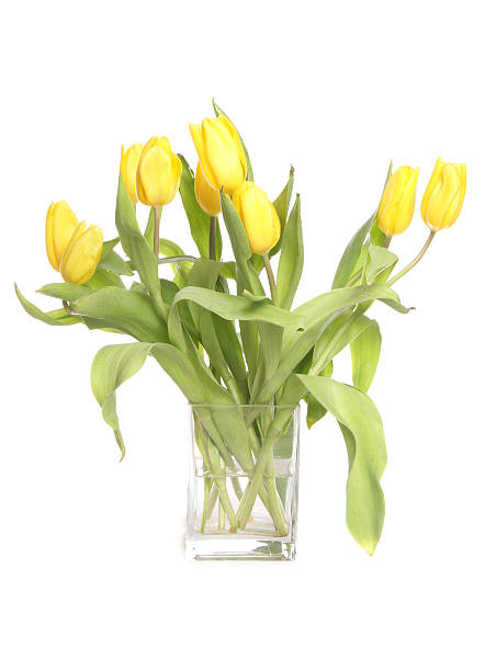 istock Yellow tulips in a vase 176998961