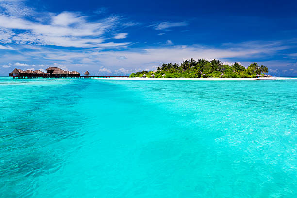 istock Tropical Island and over water bungalows 176999133
