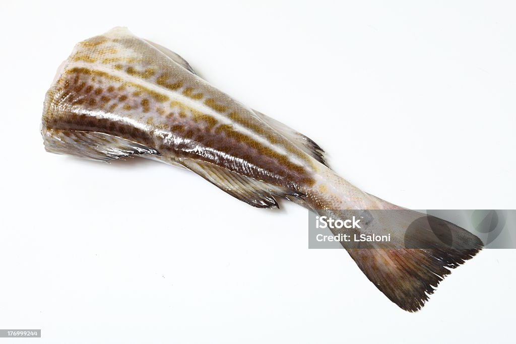 Cod Fish Clean Background Cod Fish Stock Photo - Download Image Now - Animal, Animal Mouth ...