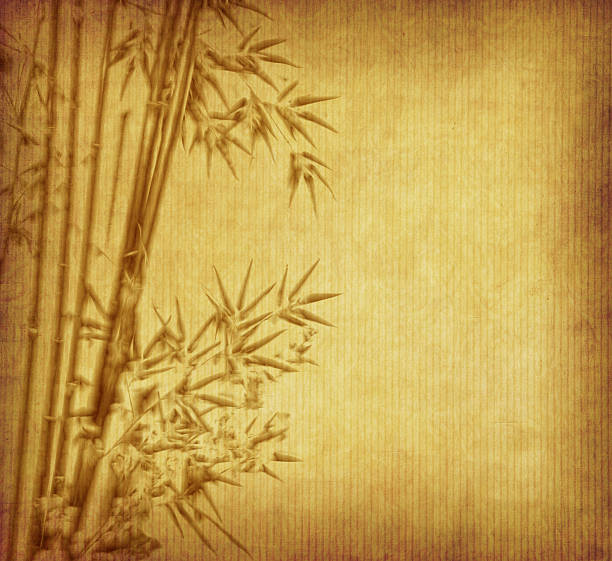 istock bamboo on old grunge paper texture background 176999543