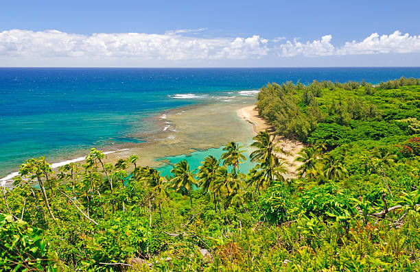 istock Tropical Beach and Lagoon in Hawaii 176999847